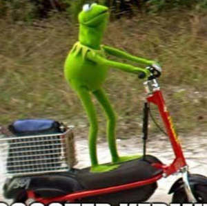 Meet your Posher, Hayden